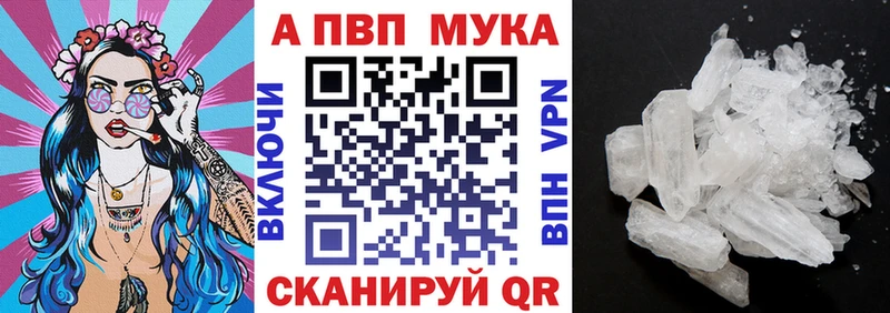 ссылка на мегу как зайти Шумиха Альфа ПВП СК КРИС
