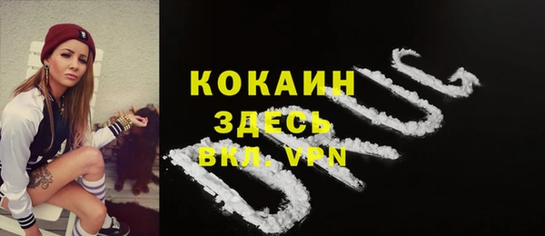 индика Верхнеуральск
