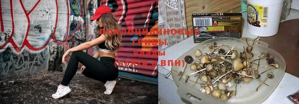 спайс Верхний Тагил