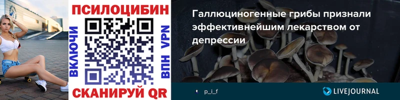 Галлюциногенные грибы ЛСД  blacksprut ссылки  Шумиха  сколько стоит 