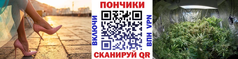 Каннабис White Widow  omg маркетплейс  Шумиха 